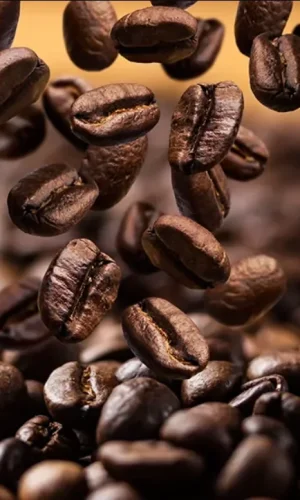 Nahaufnahme von gerösteten Kaffeebohnen, wobei mehrere Bohnen auf einen Stapel darunter fallen. Das Bild hebt die satte braune Farbe und die strukturierte Oberfläche der Kaffeebohnen hervor.